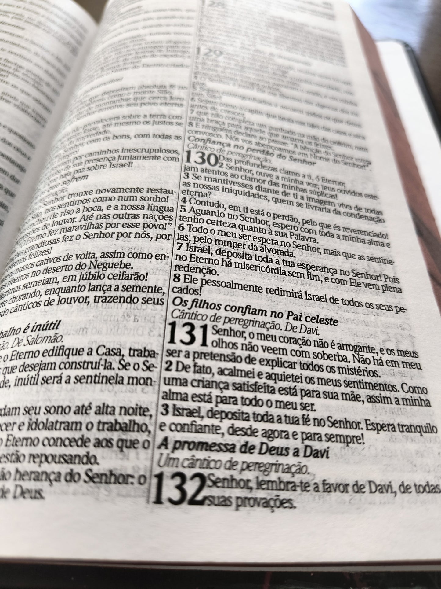 Bíblia sagrada: Coração de pedra