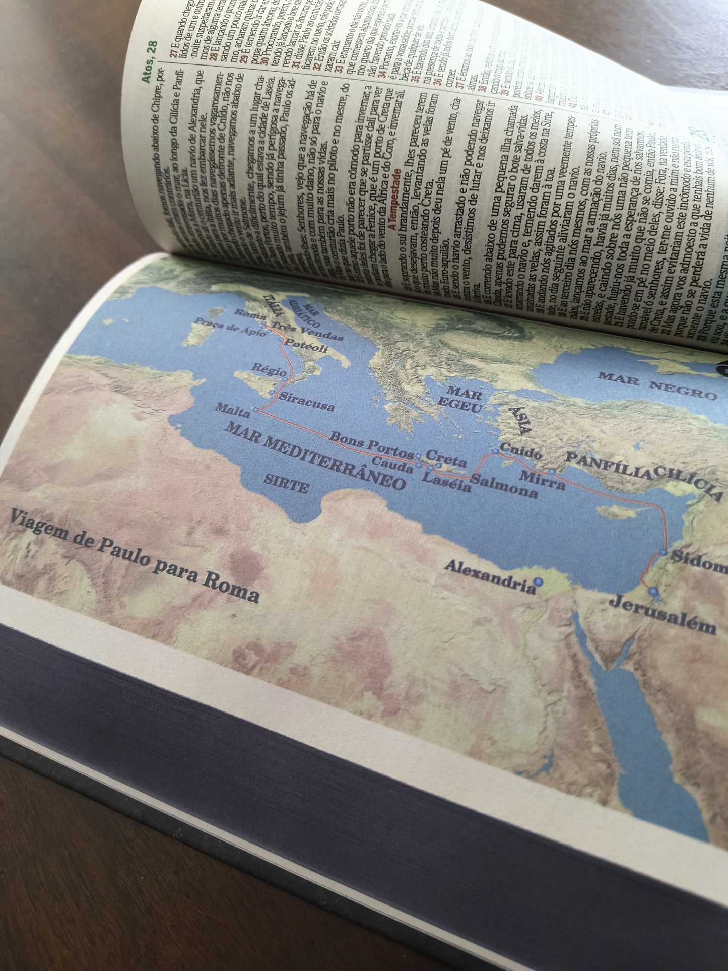 Bíblia sagrada: Leão branco (com mapas)