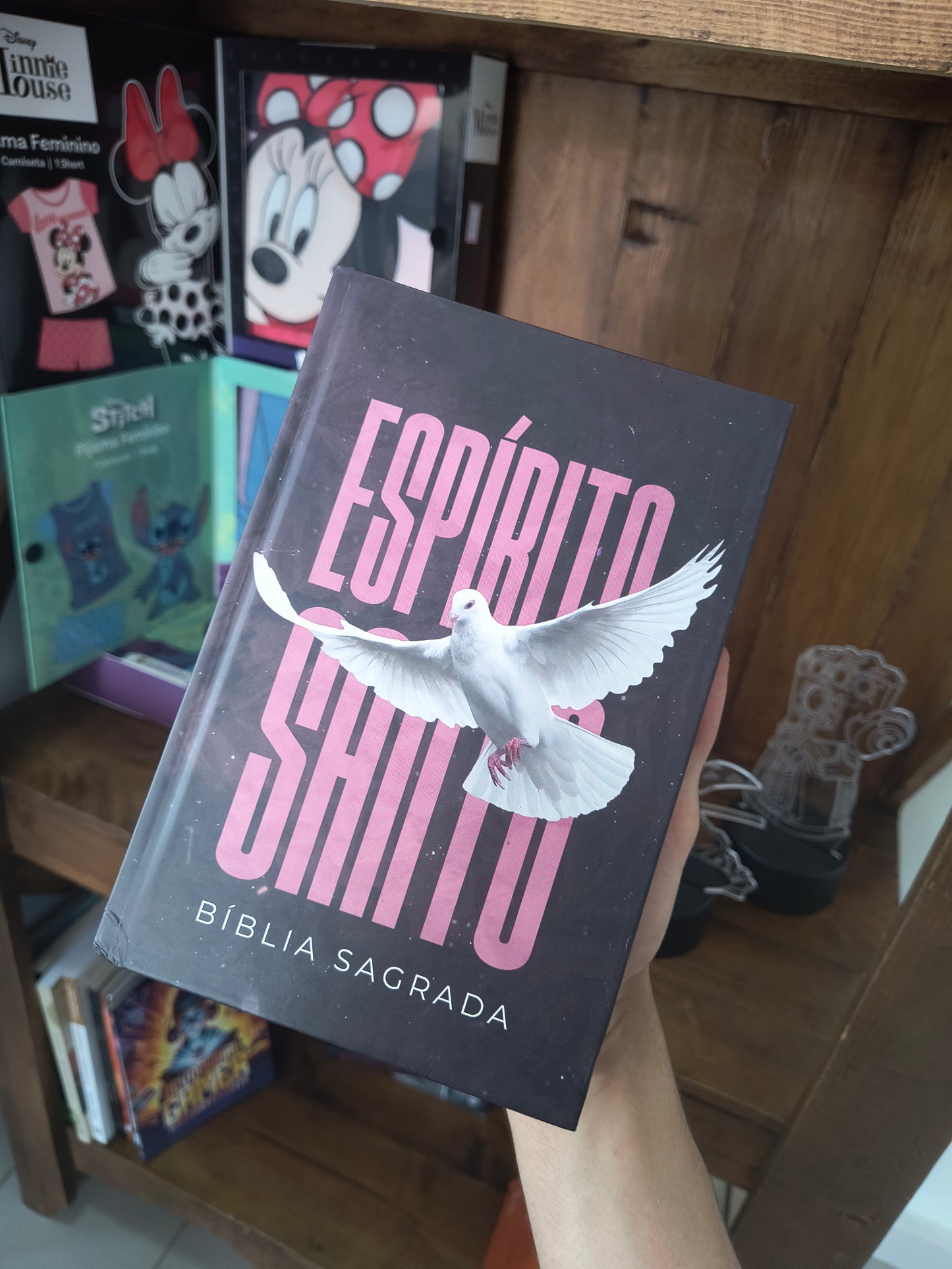 Bíblia Sagrada Feminina: Espírito Santo