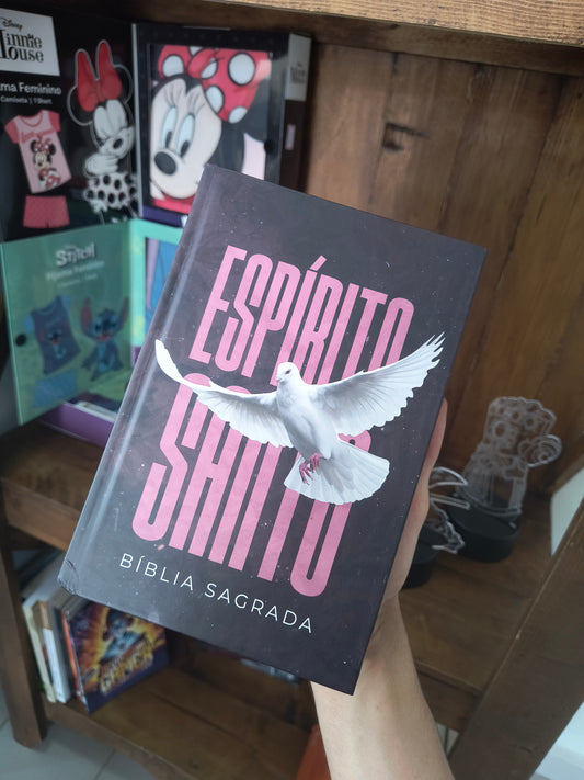 Bíblia Sagrada Feminina: Espírito Santo