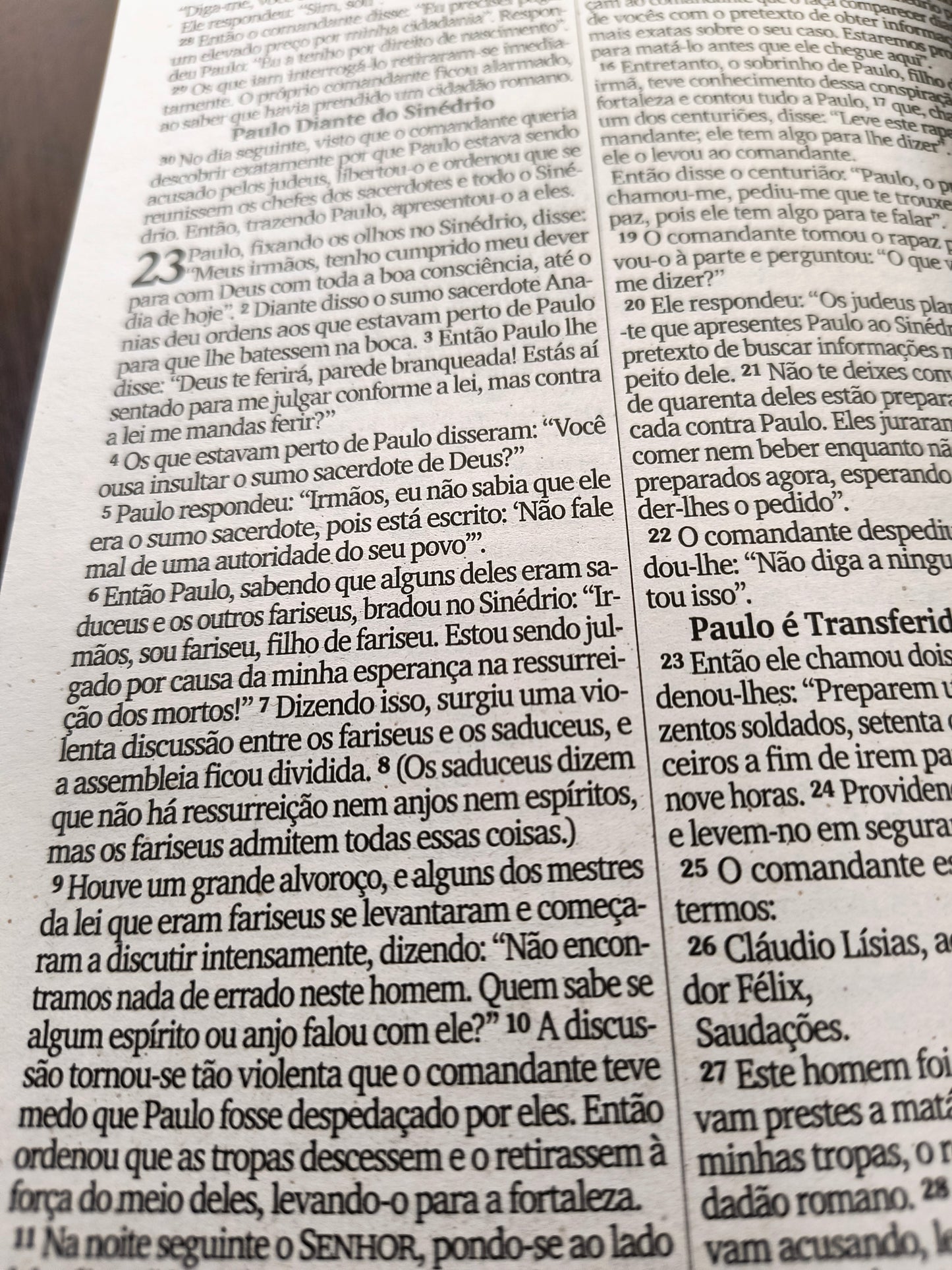 Bíblia Sagrada : Floresça Onde Deus Te Plantou - capa dura (NVI)