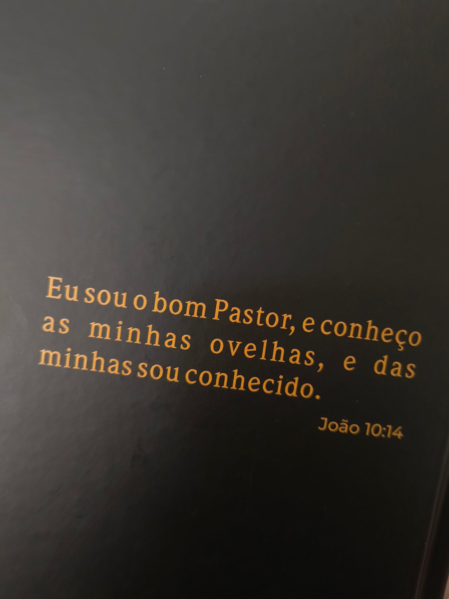 Bíblia Sagrada: Bom Pastor - Harpa e Corinhos (João Ferreira de Almeida Revista Corrigida)