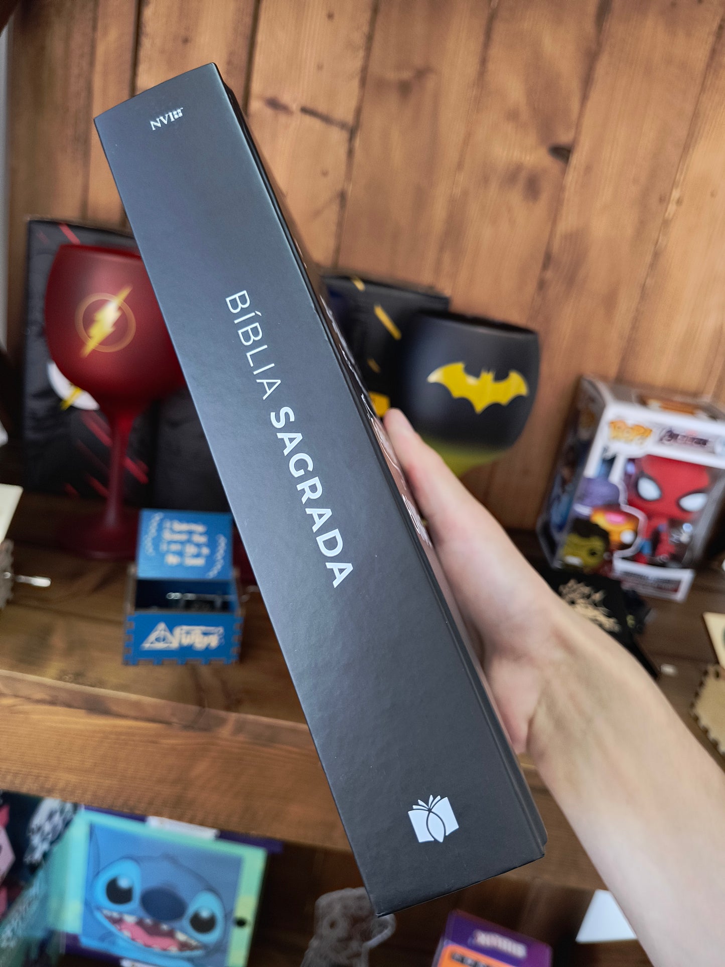 Bíblia Sagrada: Vão pelo mundo inteiro e anunciem o evangelho - Capa dura (NVI)