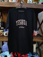 Camiseta gospel - Yeshua, He Saves