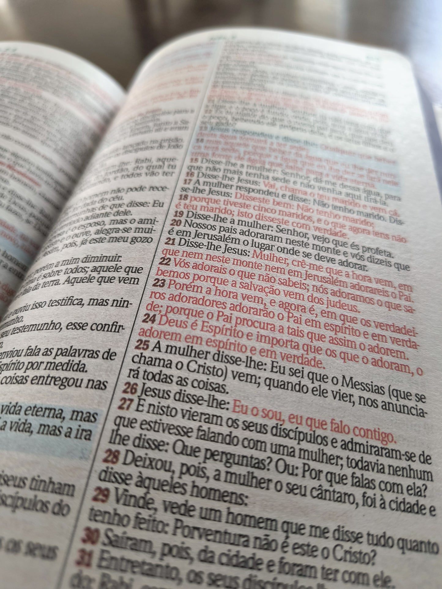 Bíblia sagrada: Leão branco (com mapas)