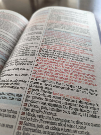 Bíblia sagrada: Leão branco (com mapas)