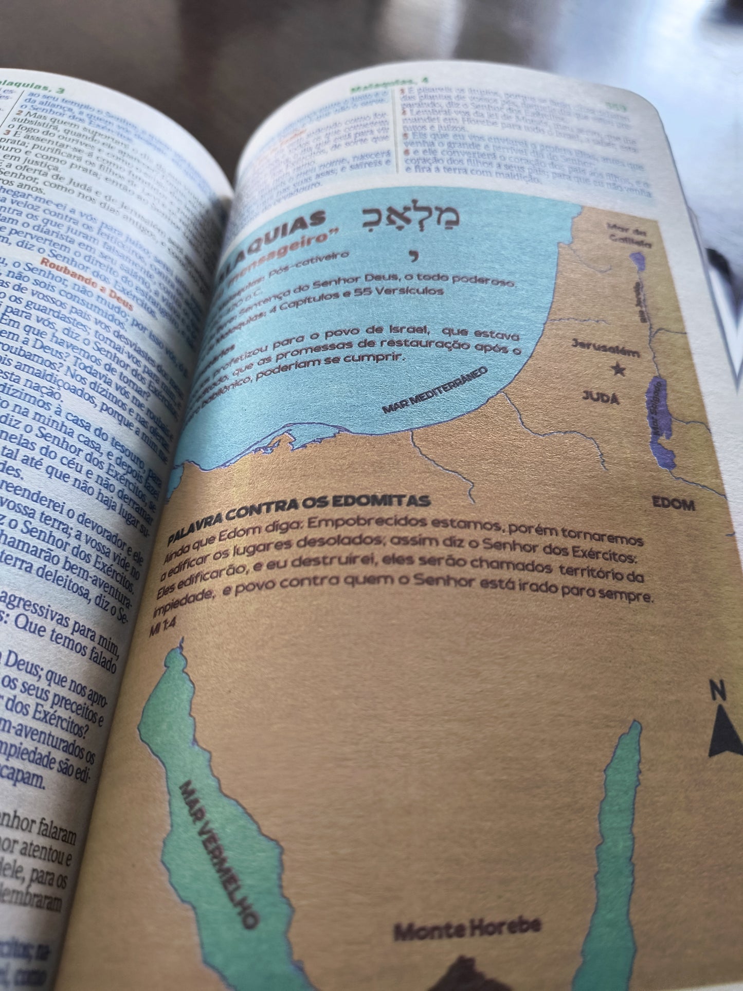 Bíblia sagrada: Leão branco (com mapas)